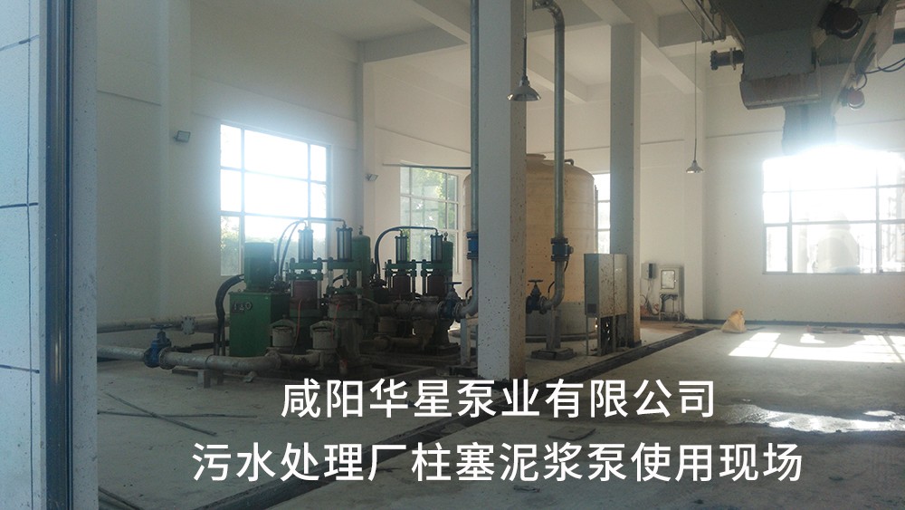 湖北仙桃污水處理廠1-水印